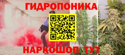 ГАЛЛЮЦИНОГЕННЫЕ ГРИБЫ Беслан