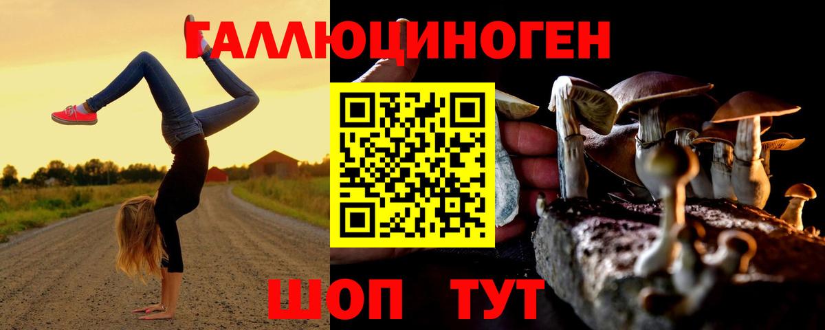 Грозный  как найти закладки  Вход с VPN  Галлюциногенные грибы прущие грибы 