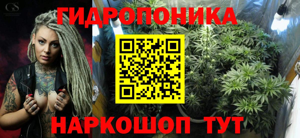Грозный  Марихуана план  Бошки Шишки Bruce Banner  Конопля марихуана  Вход с VPN 